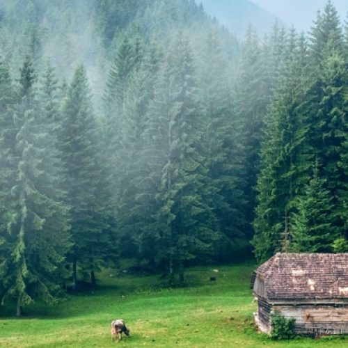 catalin-serban-b0CEpd0m1QY-unsplash