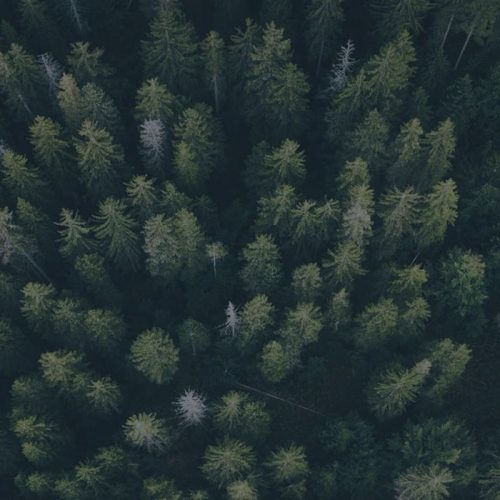fabio-comparelli-JYjZDhUjaPU-unsplash